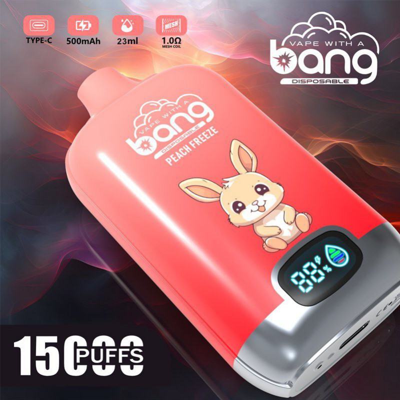 Bang 5bg6 Vape Disposables