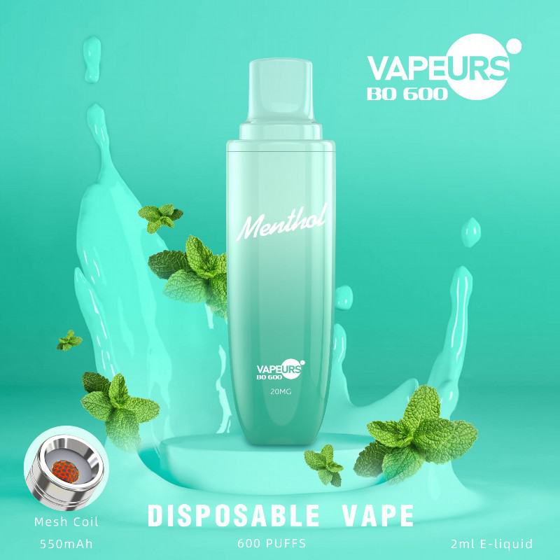 Disposable urs Urs Bo 600 Puffs Vape