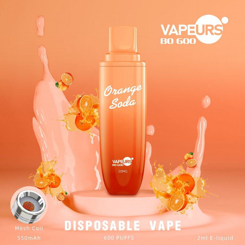 Disposable urs Urs Bo 600 Puffs Vape