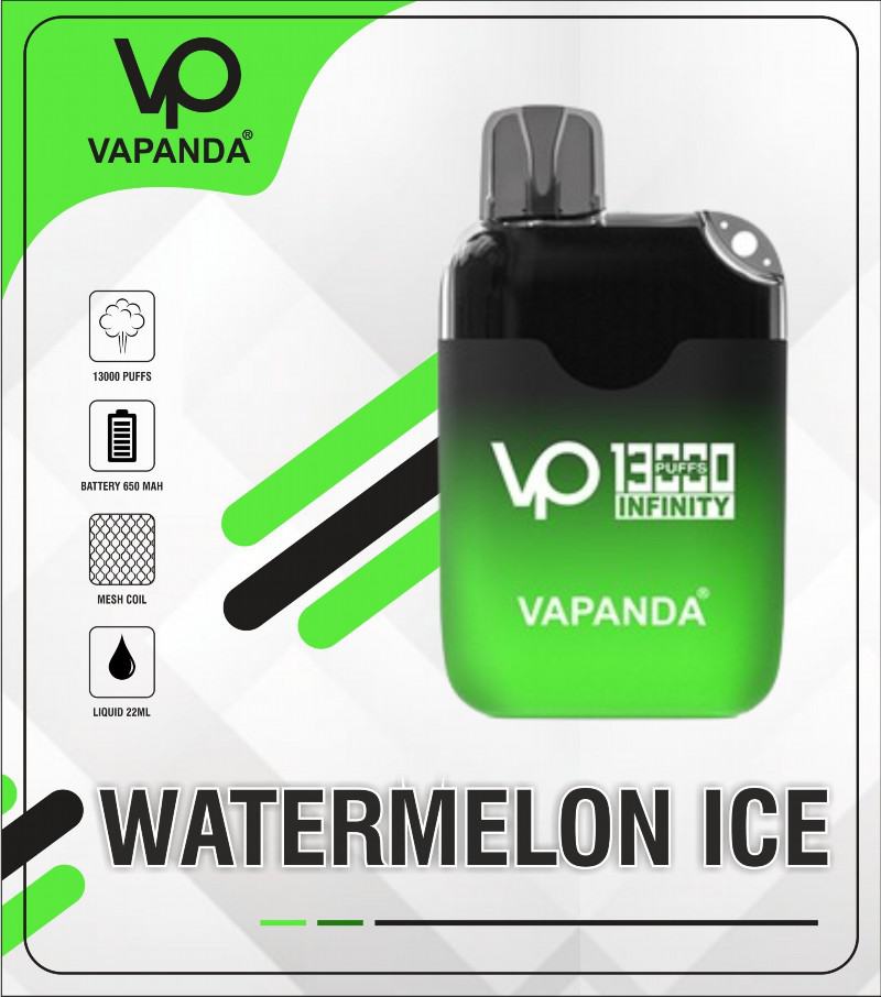 Puff Smok Vapanda Infinity 13000 Puffs Electronic Cigarette