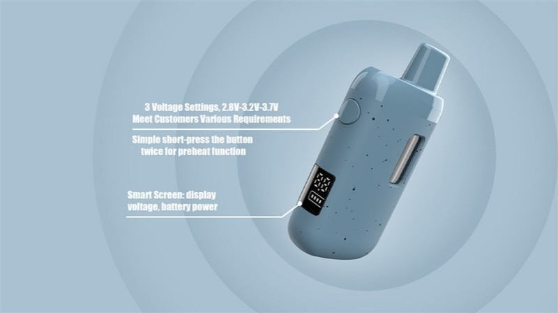 Blizzard Bv22 Disposable Box Vape Disposable