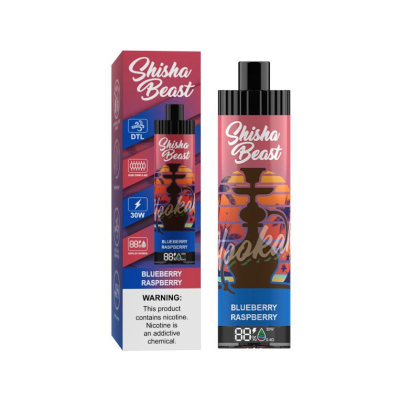 R&M Shisha 20000 Puffs Electronic Cigarette