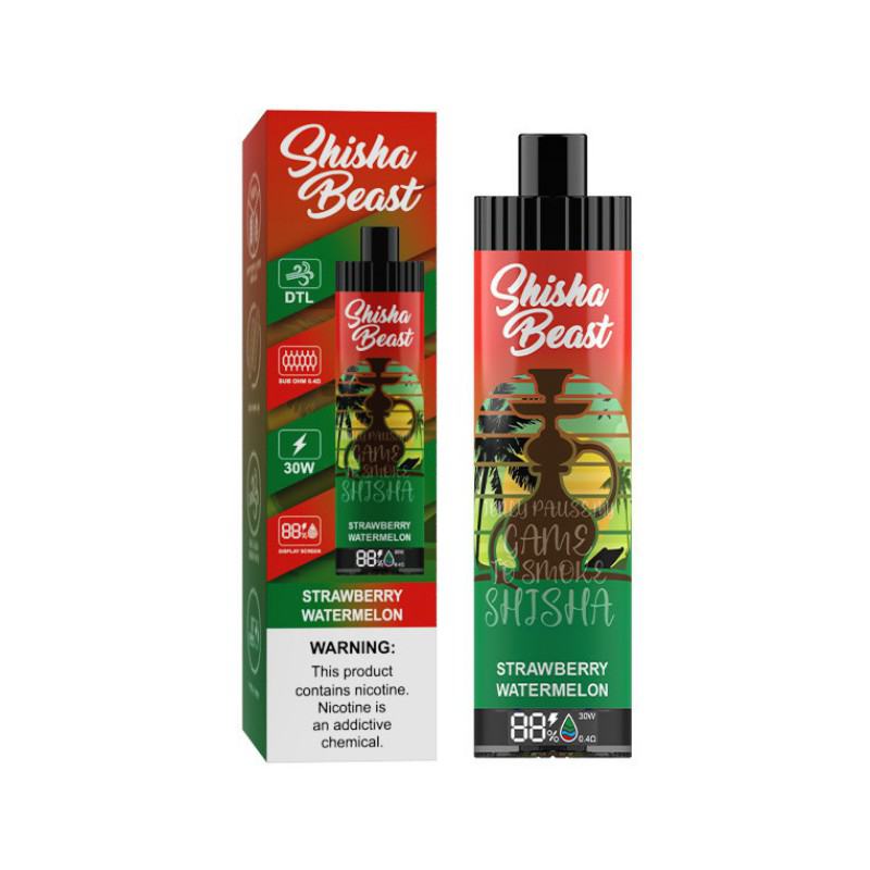 R&M Shisha 20000 Puffs Electronic Cigarette