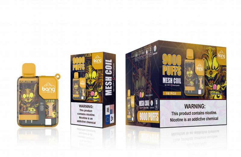 Bang Mesh Coil 9000 Puffs Box