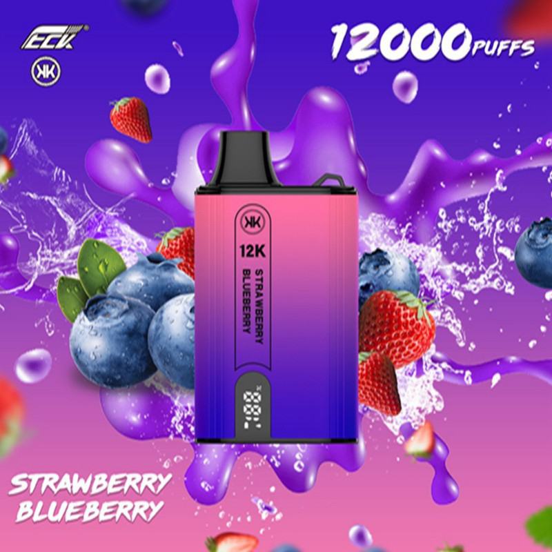 kk D119A 12000 12k Kk D119a  12k 12000 Puffs Disposable Big Hit Vape