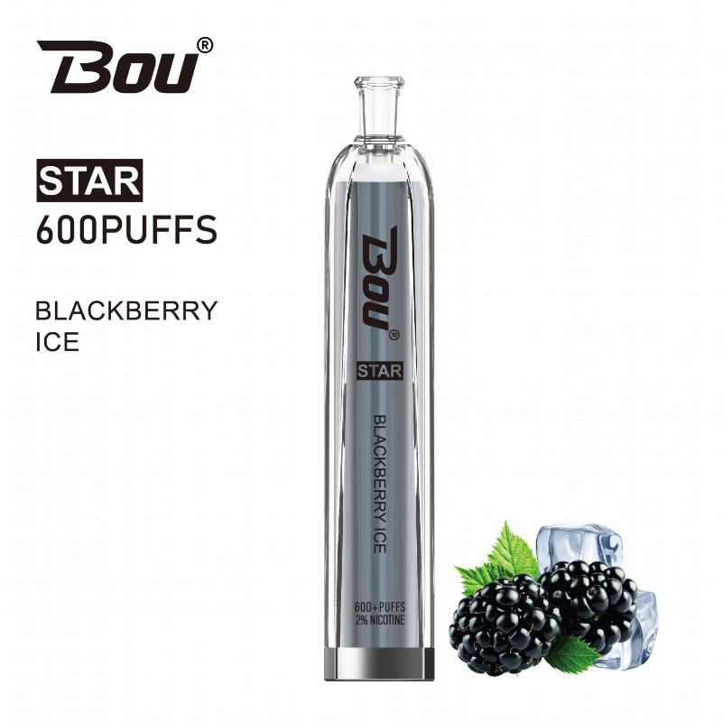 BOU 600 Puffs Disposable Pen