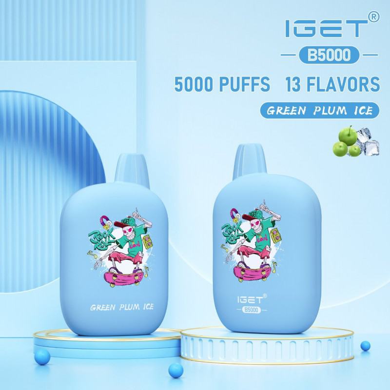 Iget Pens B 5000 Puffs