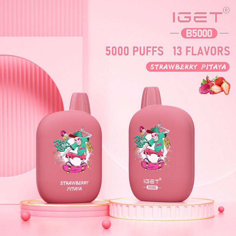Iget Pens B 5000 Puffs