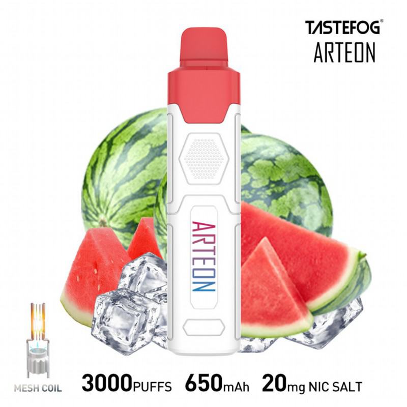Vape TASTEFOG/OEM Arteon 3000 Puffs