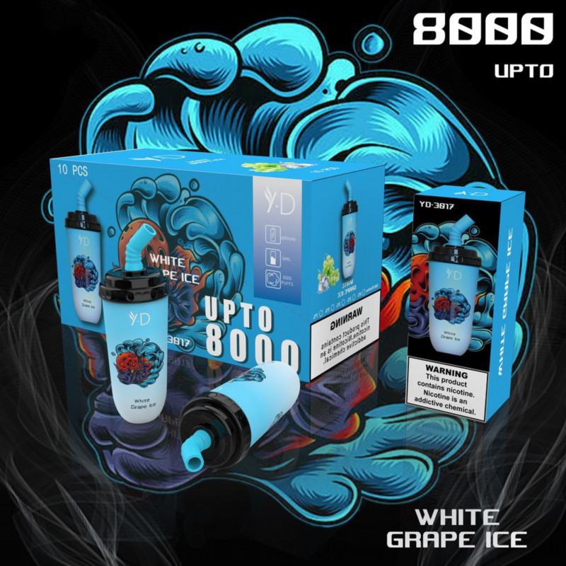 Disposable Vapes Wdg H3017 8000 Puffs
