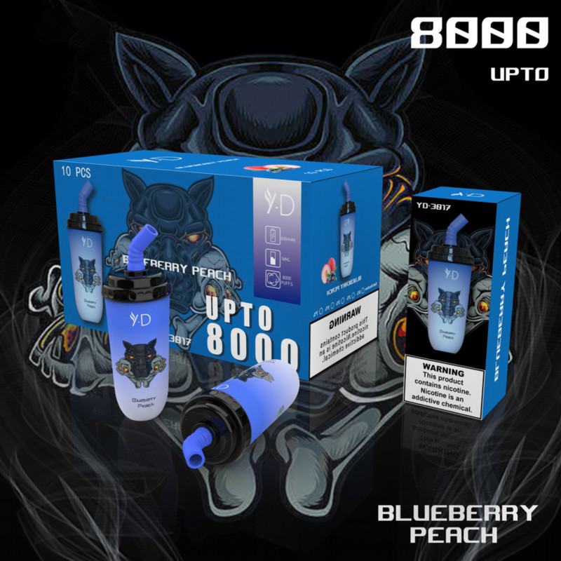 Disposable Vapes Wdg H3017 8000 Puffs