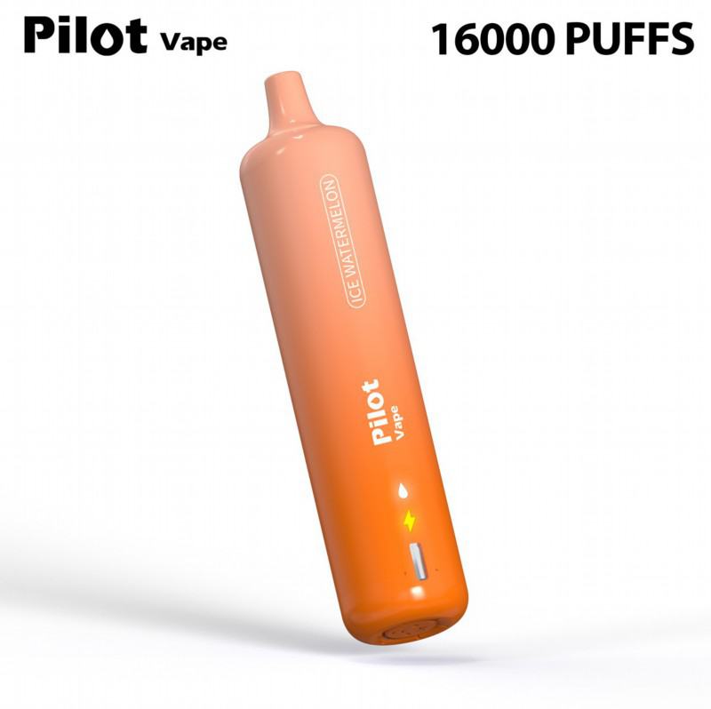 Pilot Pilot 16k 16000 Puffs Big Hit Disposable Vape