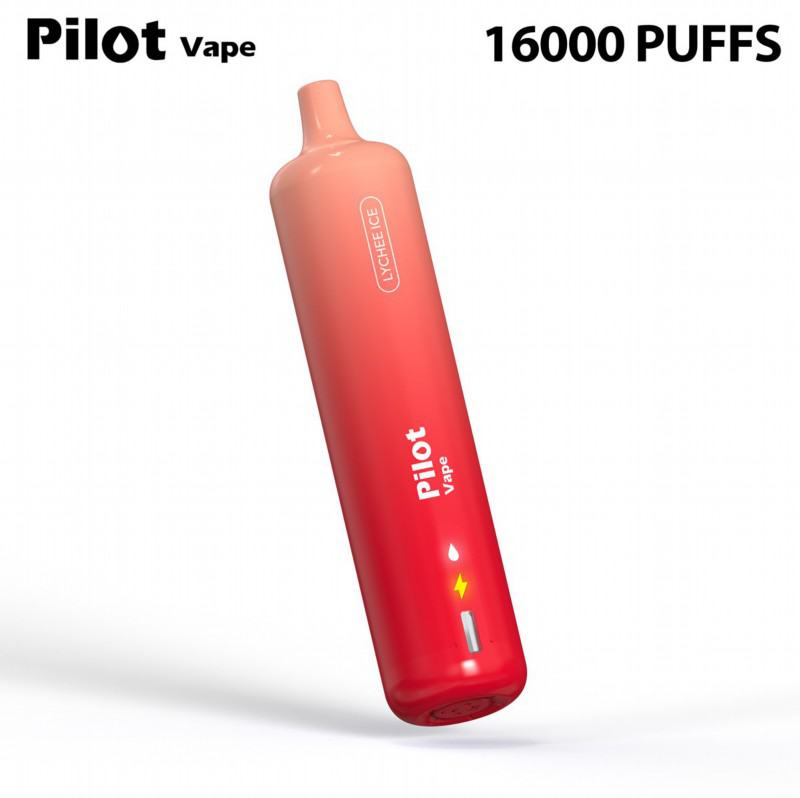Pilot Pilot 16k 16000 Puffs Big Hit Disposable Vape