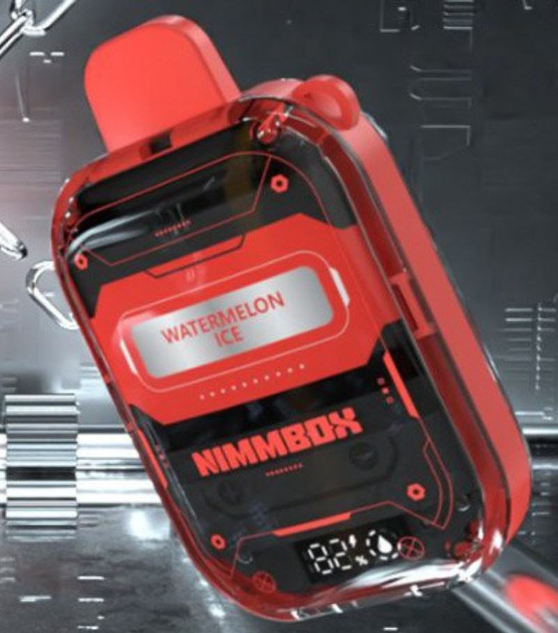 Dig Nimmbox 10000 Puffs Vape Disposable