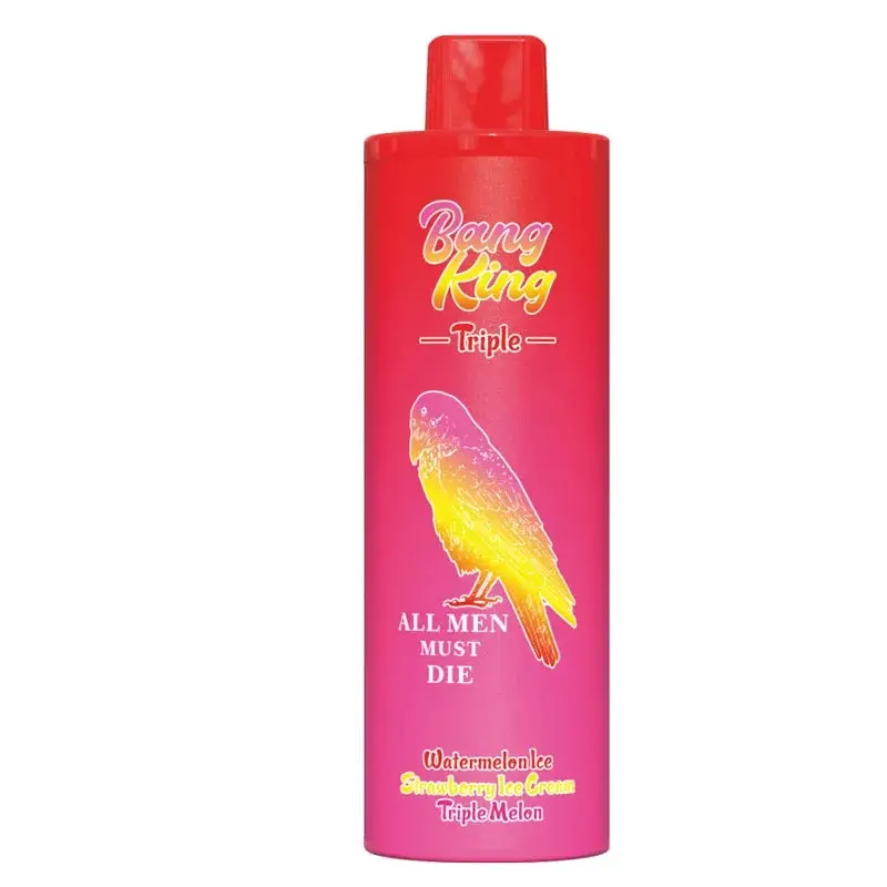 Wholesale Bang King Big Puffs Nederland 45000 Disposable Vape Pro