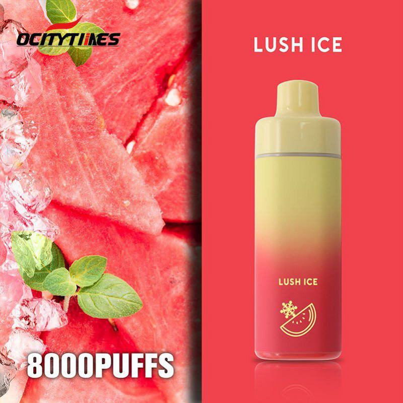 Ocitytimes Disposable Vape Pens Dmc 8000 Puffs