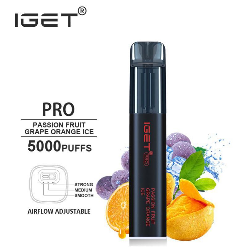 Disposable Iget Vapes Pro 5000
