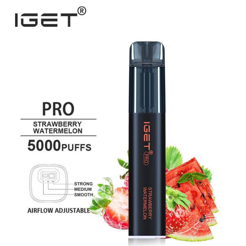 Disposable Iget Vapes Pro 5000