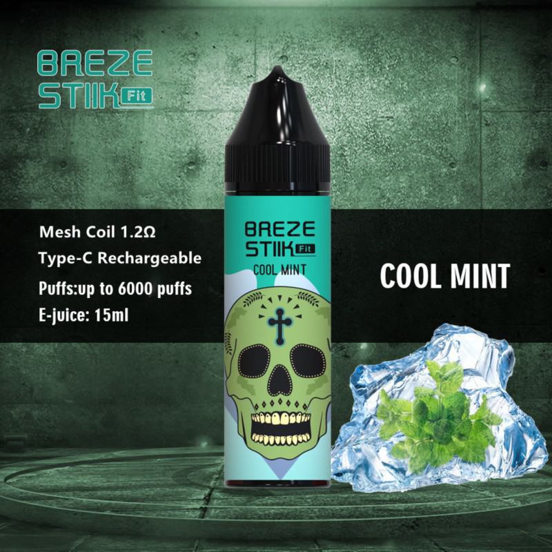 STEAM ENGINE Breze Stiik Fit 6000 Puffs Box