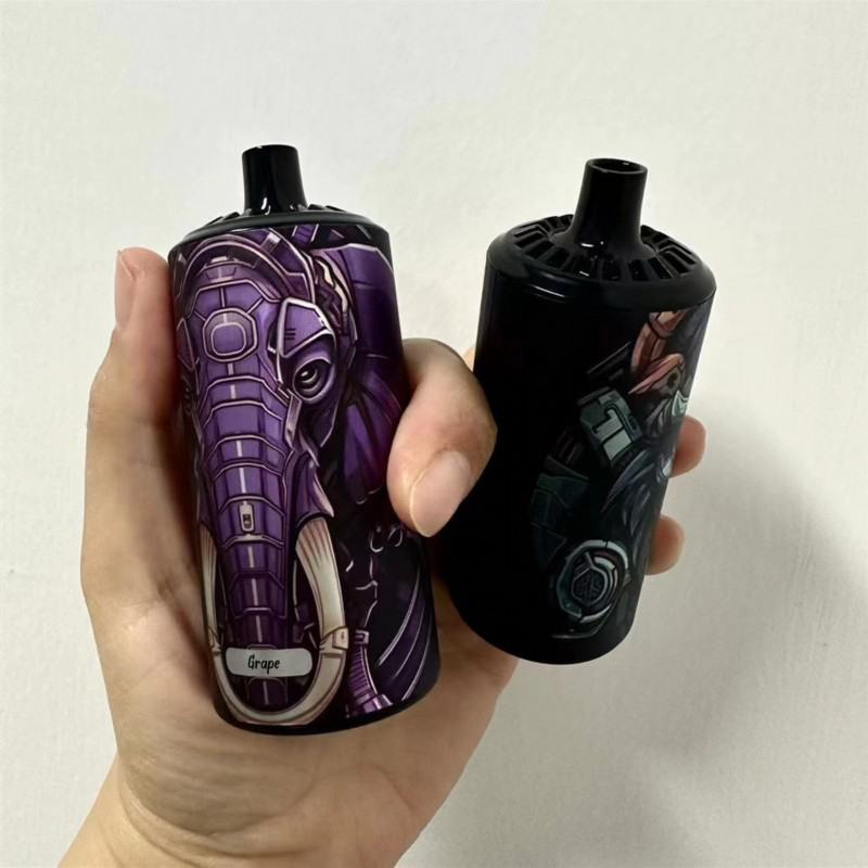 OEM ODM 10000 Puffs Disposable Vape Brands