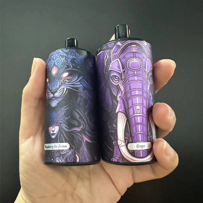 OEM ODM 10000 Puffs Disposable Vape Brands