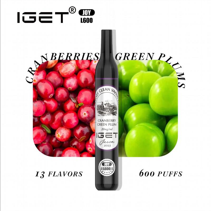 Disposable Iget Joy L600 Vape