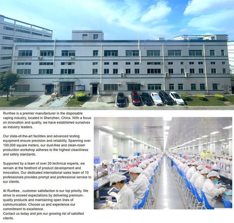 Vape Pen Runfree Rp22 800 Puffs