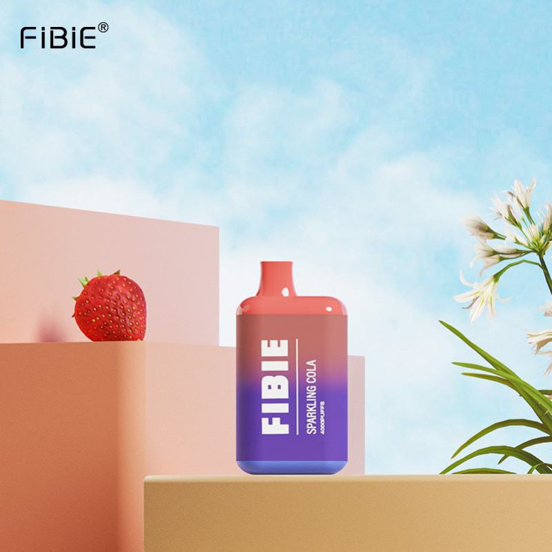 FIBIE 4000 Puffs Vapes