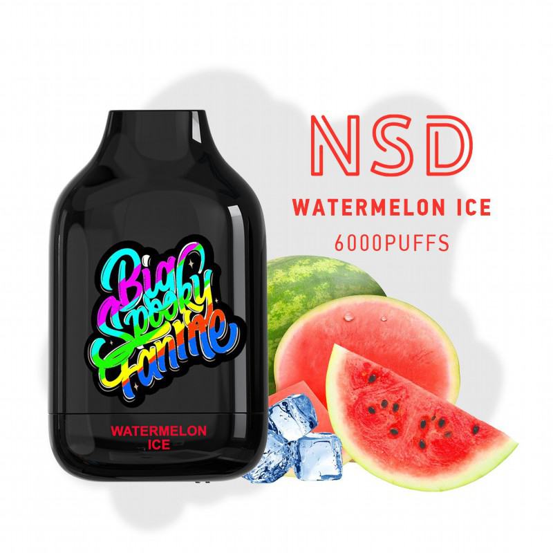 NSD Sd Nr 6000 Puffs Disposable Vape Pod