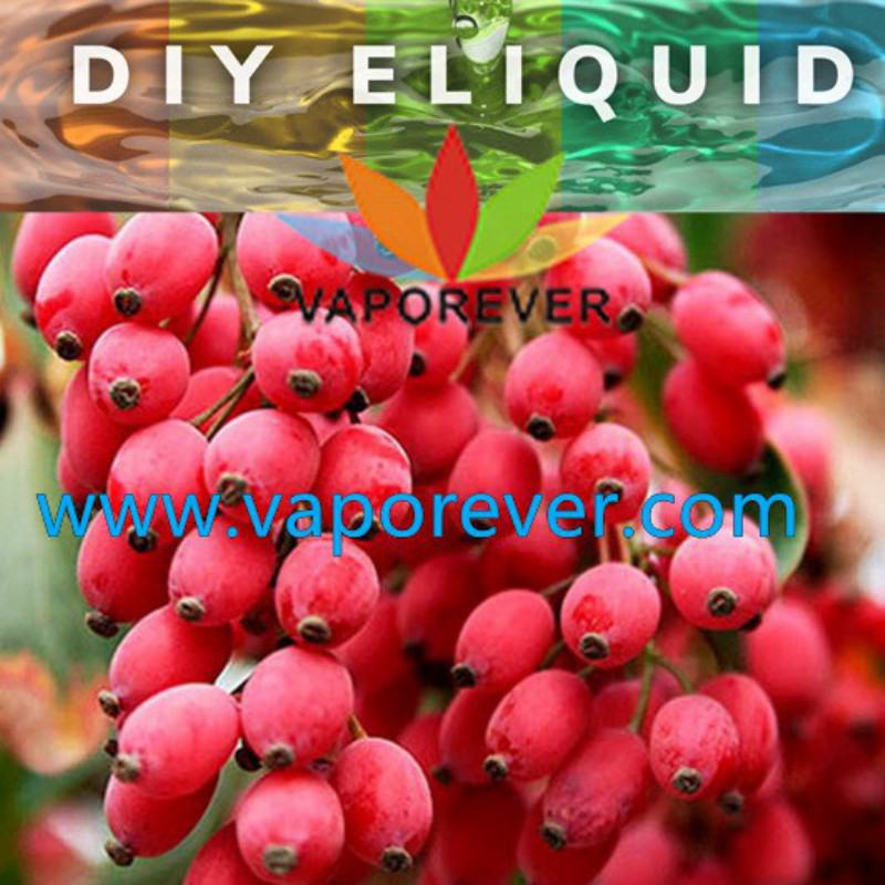 VAPOREVER Disposable Vape Brands