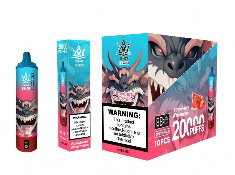 Disposable Big Hit Vape Bang Beach 22k Disposable Rs 22000 Puffs