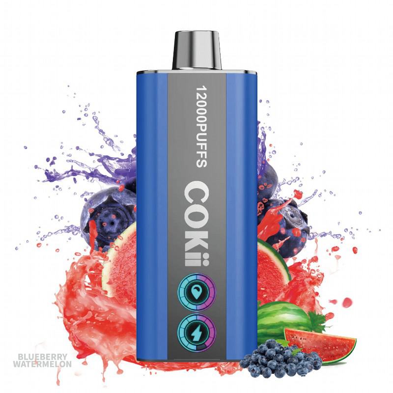 Cokii Disposable Vape Cokii 12000 Puffs