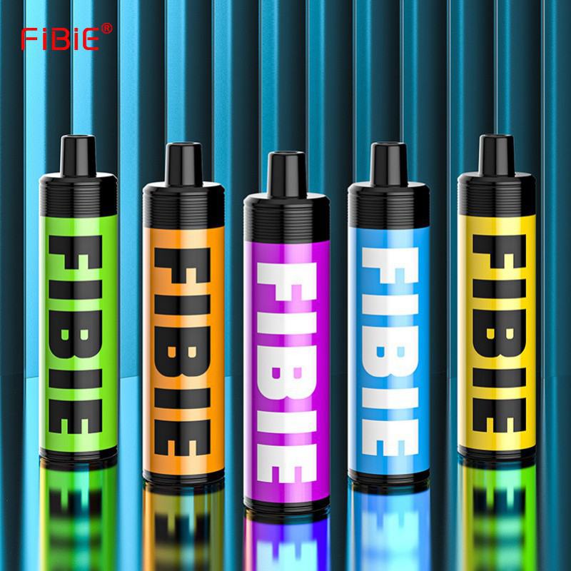 FIBIE 4000  Max About 4000 Puffs Vape Disposables