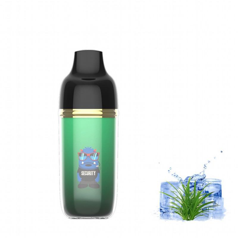  Mo 6000 Puffs Vape Rechargeable