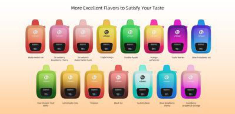 Vabeen Vabeen Flex Air Maxx 10000 Puffs Disposable Vape Device