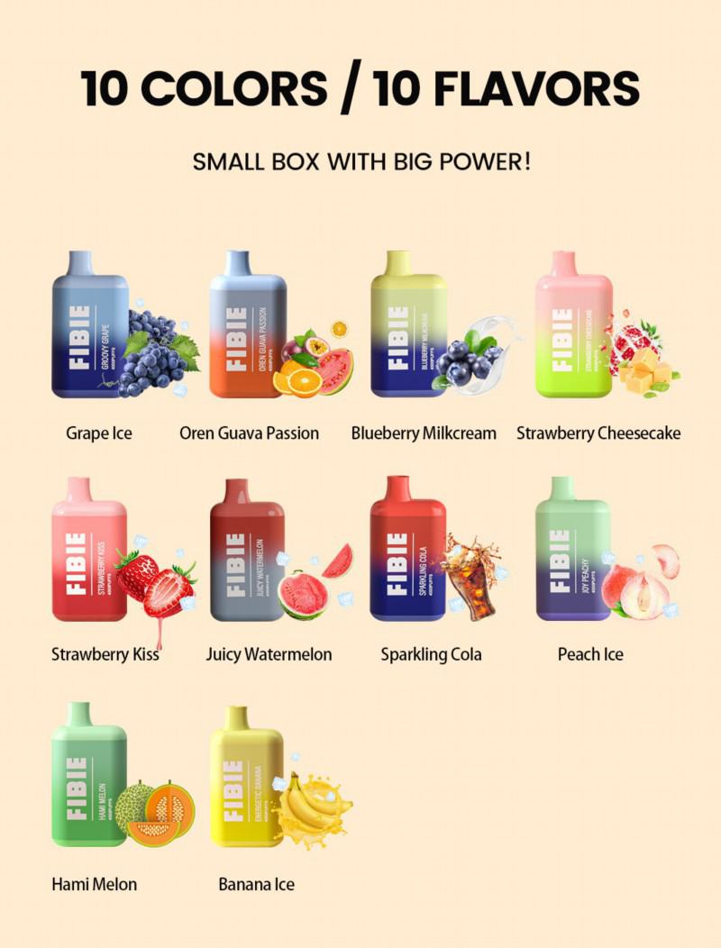 Disposable FIBIE 4000 Puffs Vape Brands