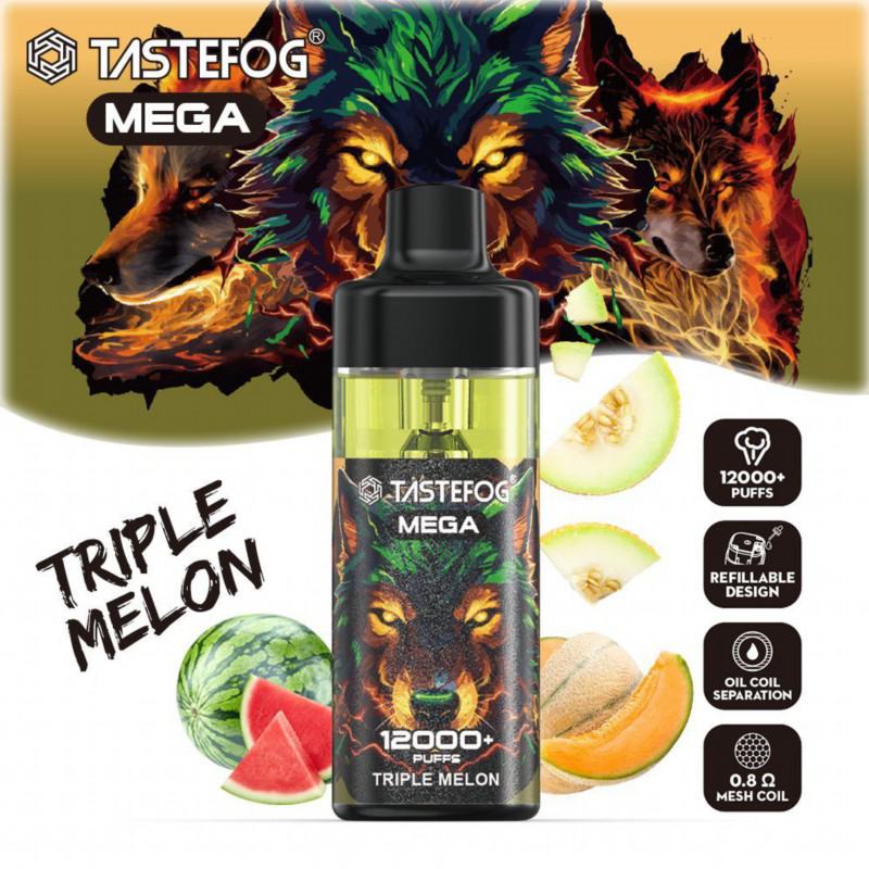 TASTEFOG/OEM Tastefog Mega 12000 Puffs Vape Rechargeable