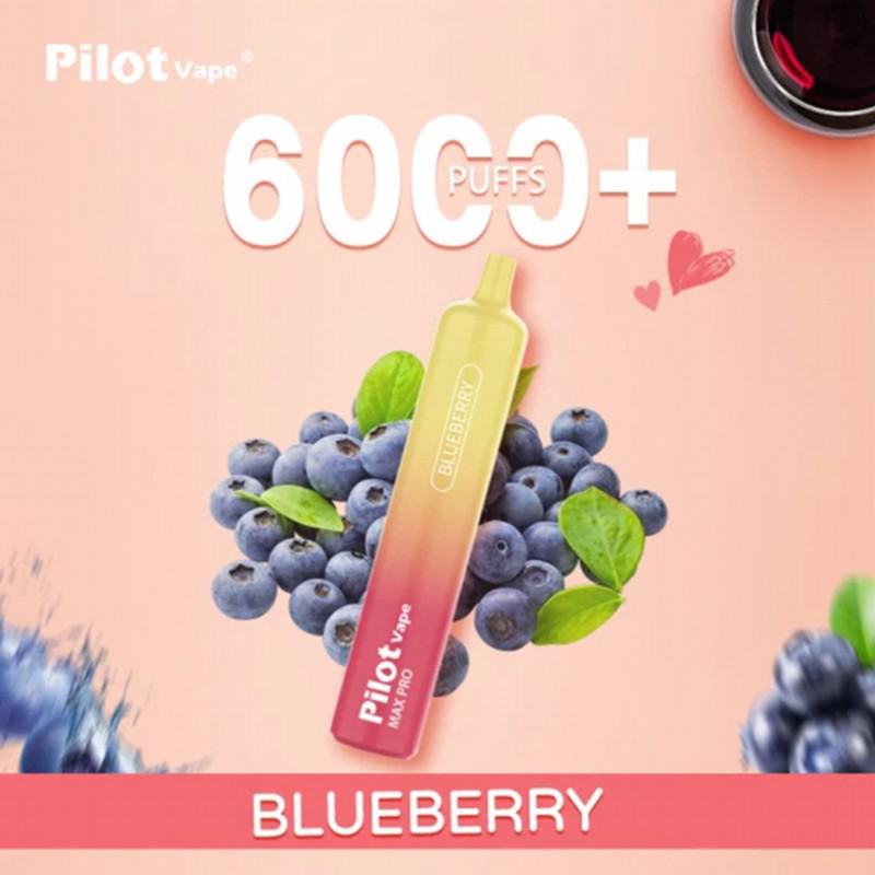 pilot 6000 Big Puff Pen Plus