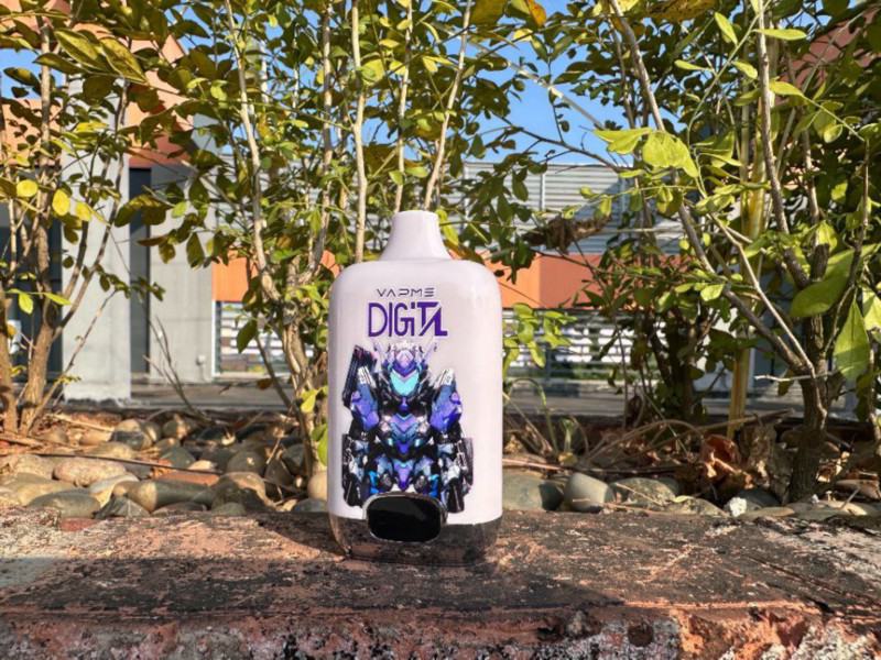 Disposable Vapme 12000 Puffs Vapes