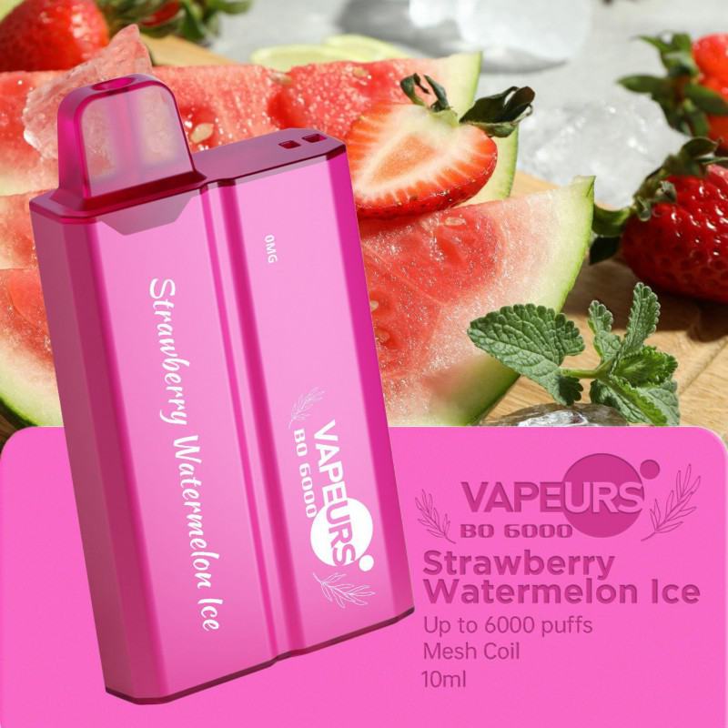 Vape Disposables urs Urs Bo 6000 60080015002000250030003500500060008000 Puffs
