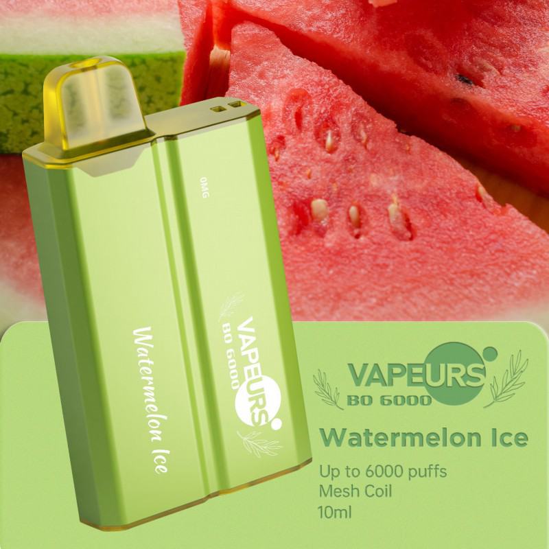 Vape Disposables urs Urs Bo 6000 60080015002000250030003500500060008000 Puffs