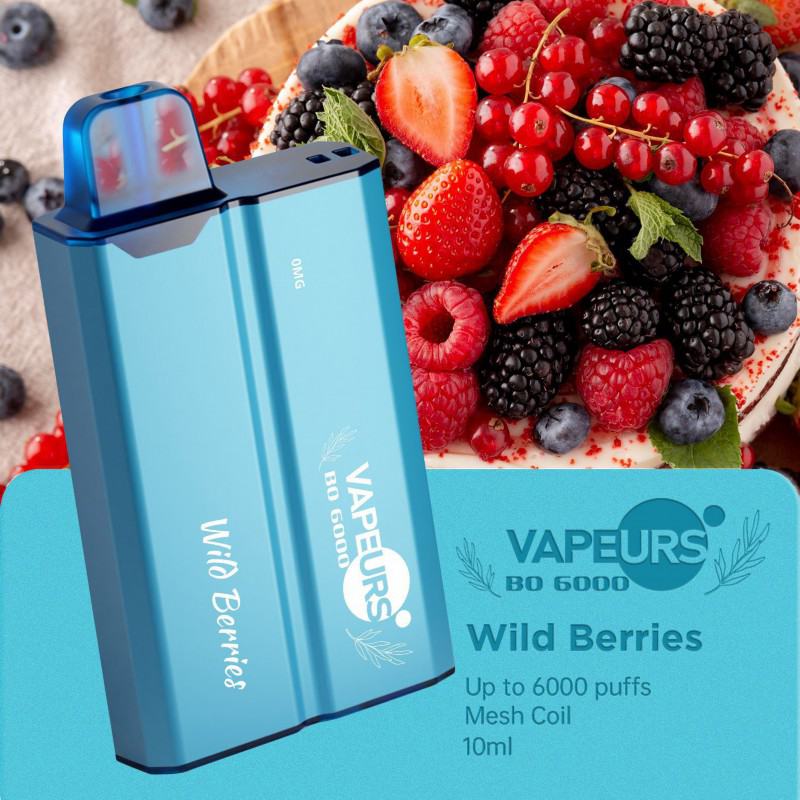 Vape Disposables urs Urs Bo 6000 60080015002000250030003500500060008000 Puffs