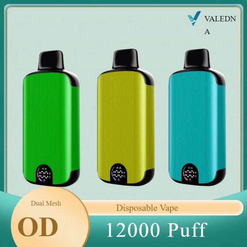 Disposable Vape VALEDNA W01 12000 Puffs