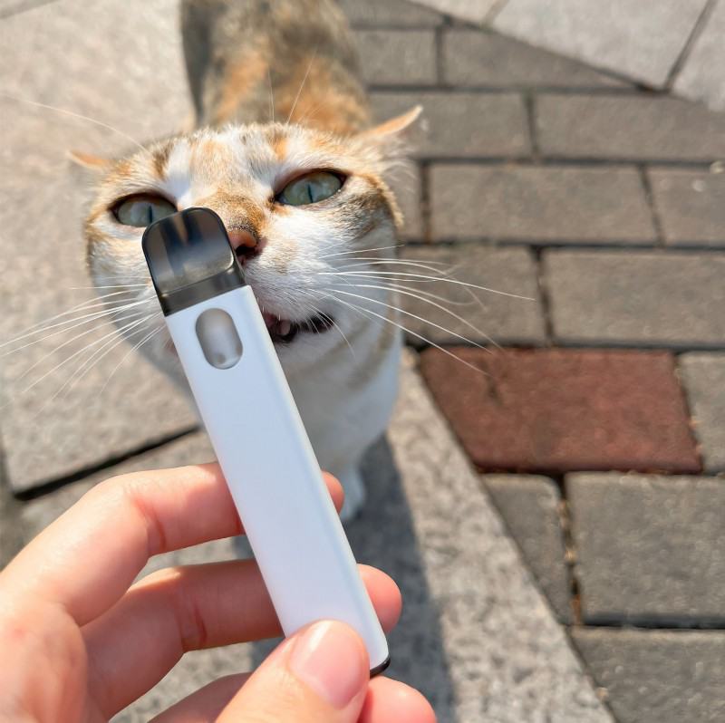 Yuweetek Bar Rhy-d012