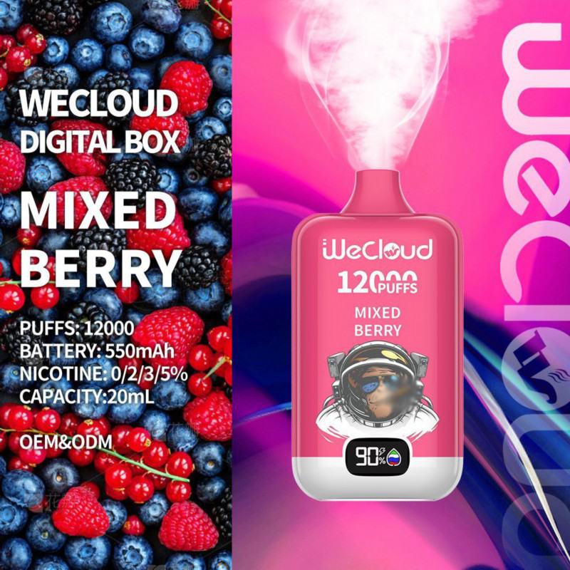 Disposable Pairyosi Wecloud Py 12000 Puffs Vape Brands