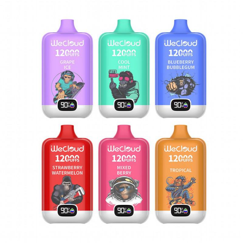 Disposable Pairyosi Wecloud Py 12000 Puffs Vape Brands