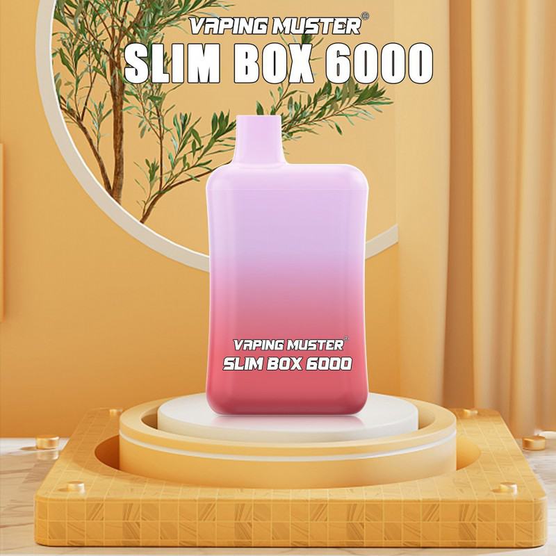 Disposable Niimoo Vmslimbox 6000 Puffs Vapes