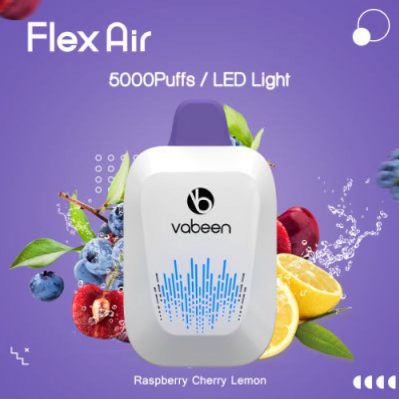 VABEEN Vabeen Flex Air 5000 Puffs Vape Disposables