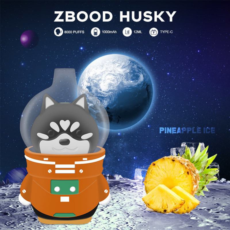Baish Plus Zbood Space Husky 8000 Vapevape7000800 Puffs