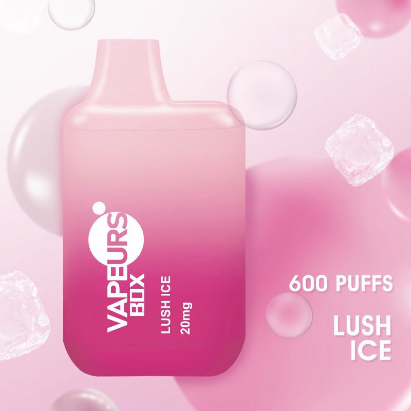 Lost Urs Box 600 Puffs Disposable Big Hit Vape